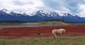 0418-dag-20-110-El Calafate